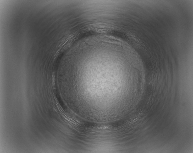 X0000052930646200507292353