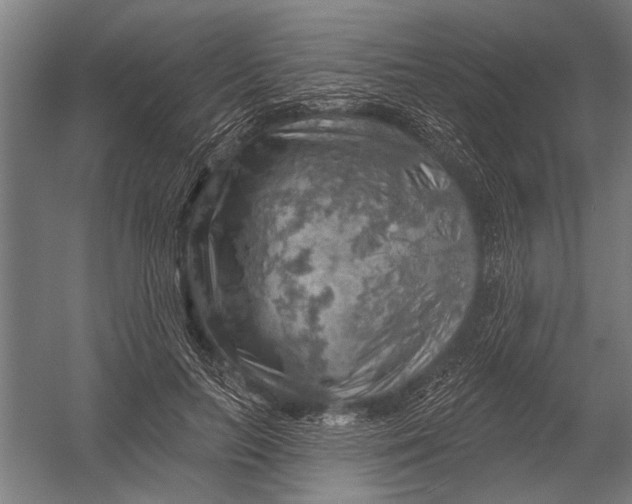 X0000052930647200507292353