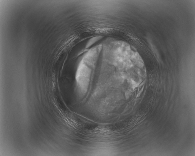 X0000052930648200507292353