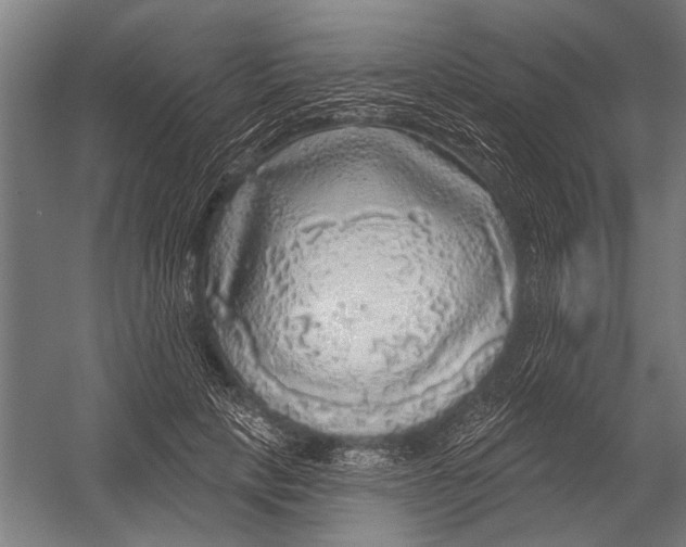 X0000052930649200507292353