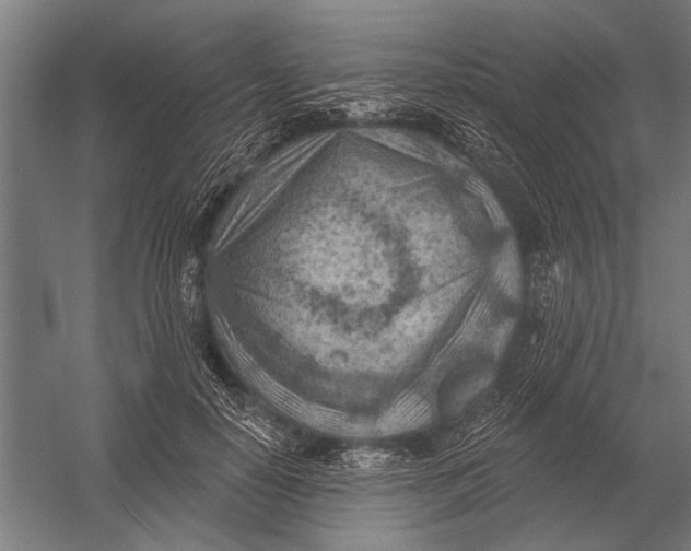 X0000052930650200507292353