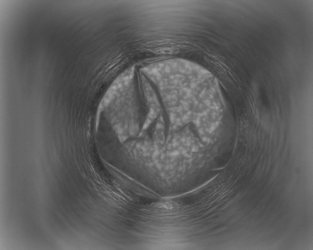 X0000052930652200507292353