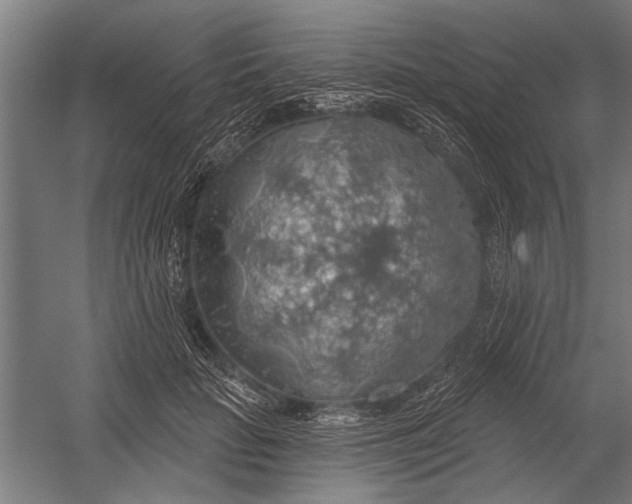 X0000052930653200507292353