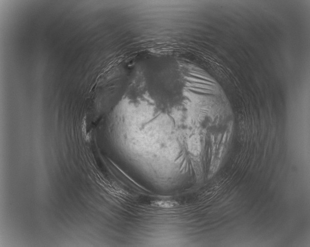 X0000052930654200507292353