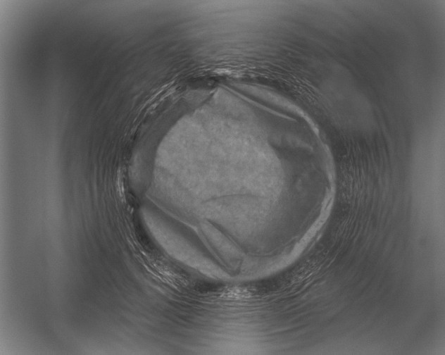 X0000052930656200507292353