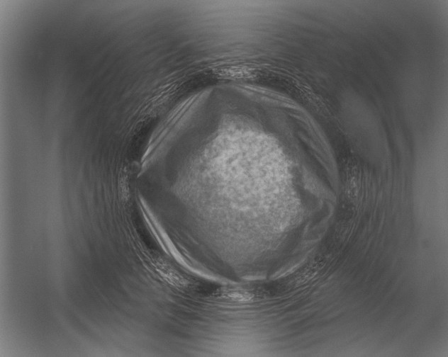 X0000052930658200507292353