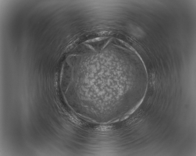 X0000052930664200507292353