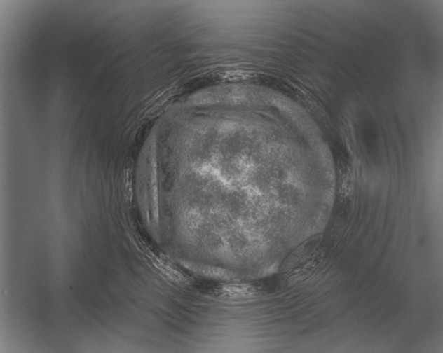 X0000052930666200507292353