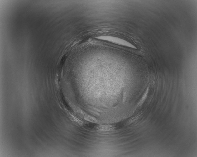 X0000052930670200507292353