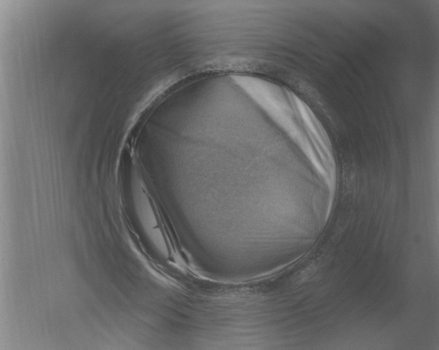 X0000052930674200507292353