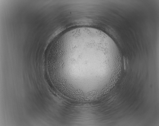 X0000052930675200507292353