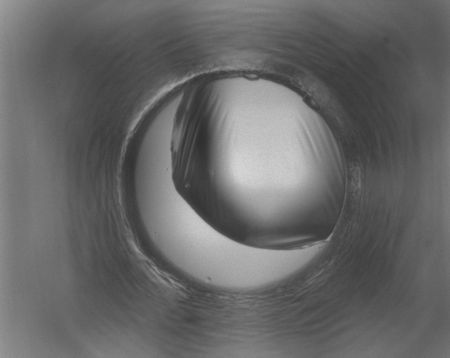 X0000052930676200507292353