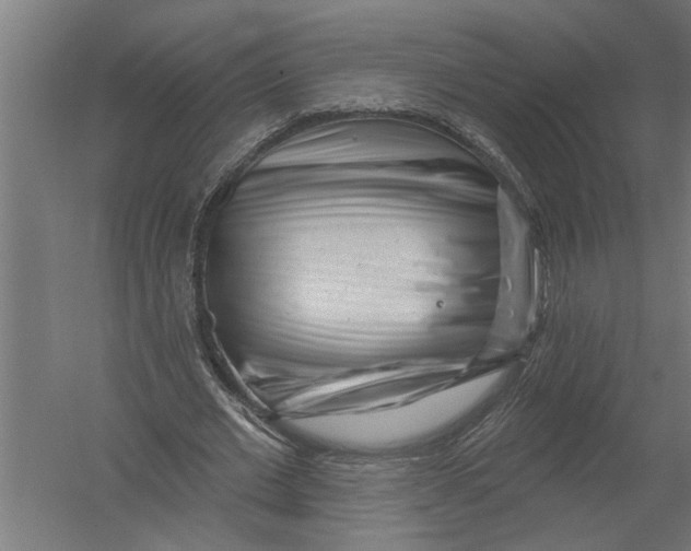 X0000052930677200507292353