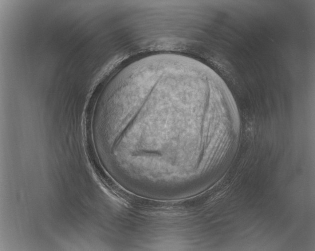 X0000052930678200507292353