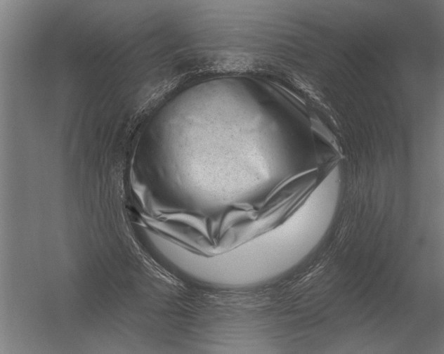 X0000052930681200507292353