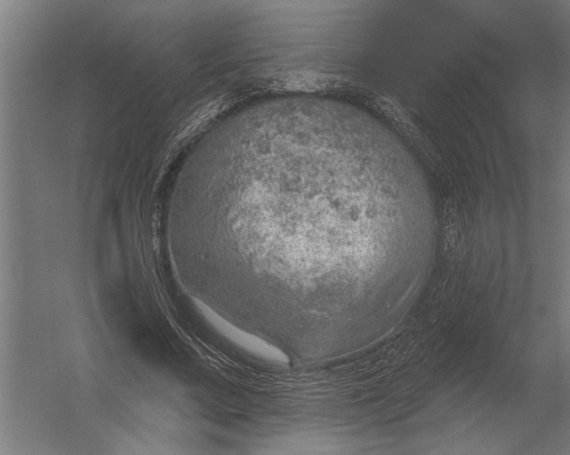 X0000052930683200507292353