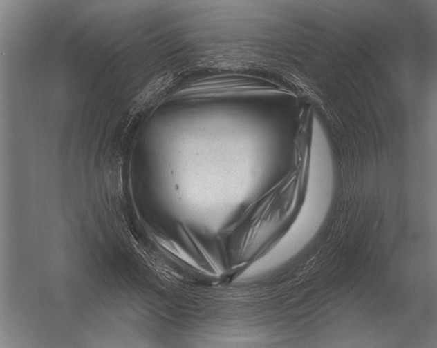 X0000052930685200507292353