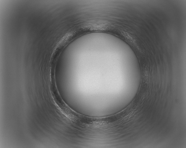 X0000052930686200507292352