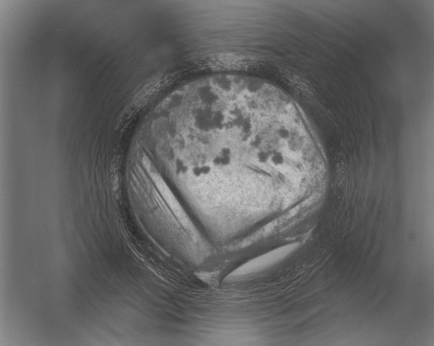 X0000052930687200507292352