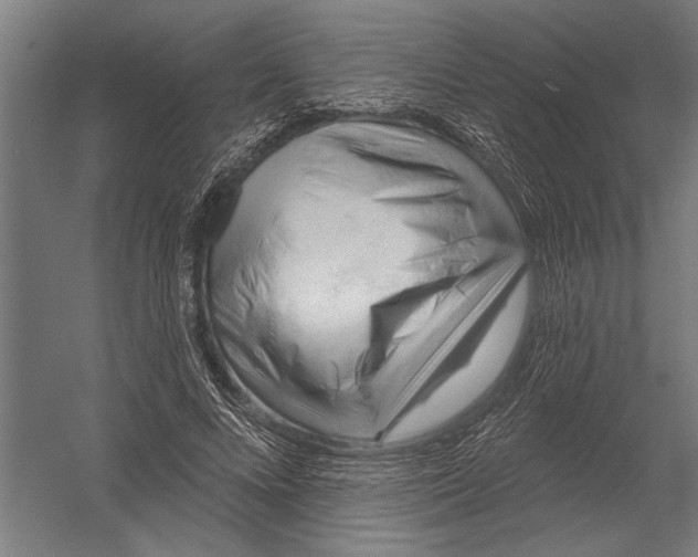 X0000052930688200507292352