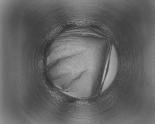 X0000052930690200507292352