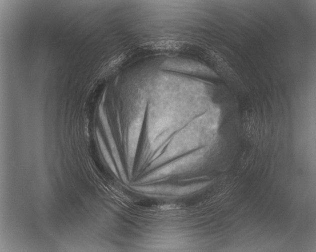 X0000052930692200507292352