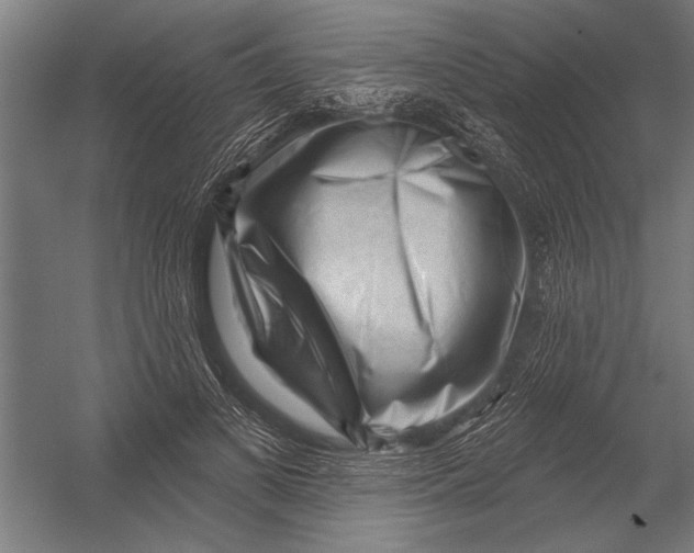 X0000052930693200507292352