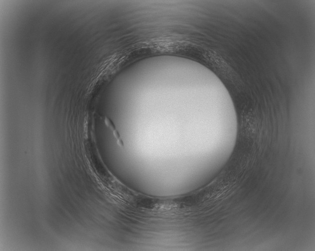 X0000052930694200507292352