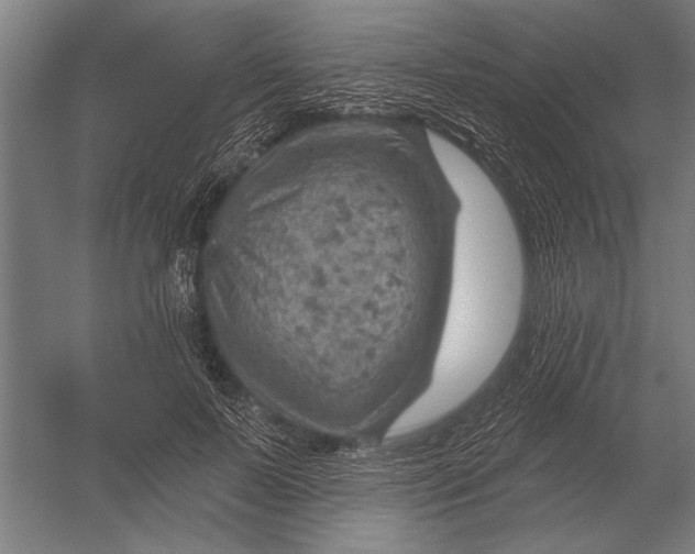 X0000052930695200507292352