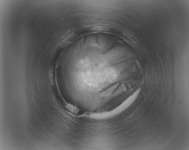 X0000052930696200507292352