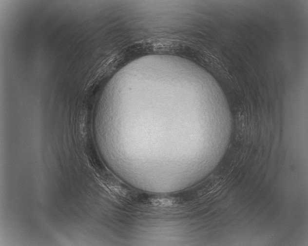 X0000052930698200507292352