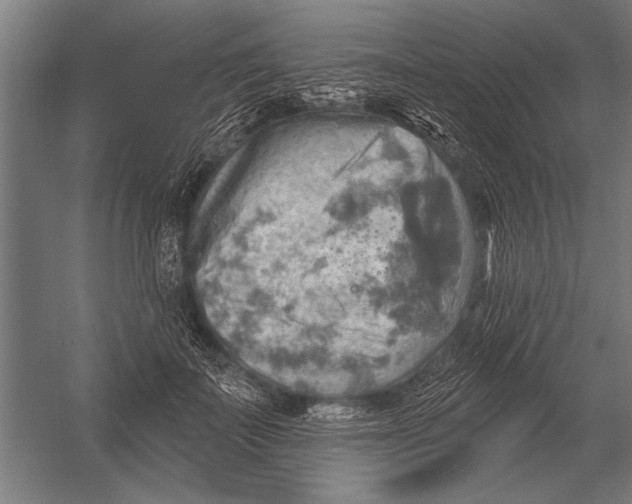 X0000052930699200507292352