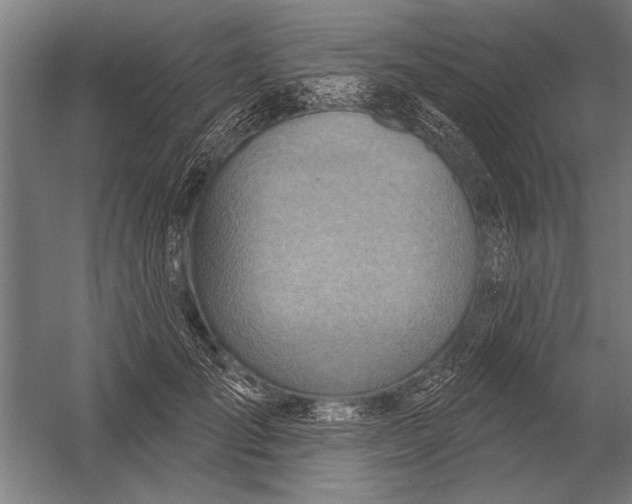 X0000052930701200507292352