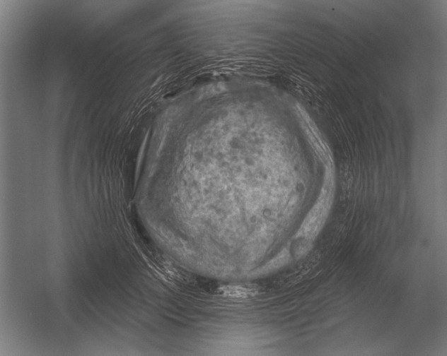 X0000052930703200507292352