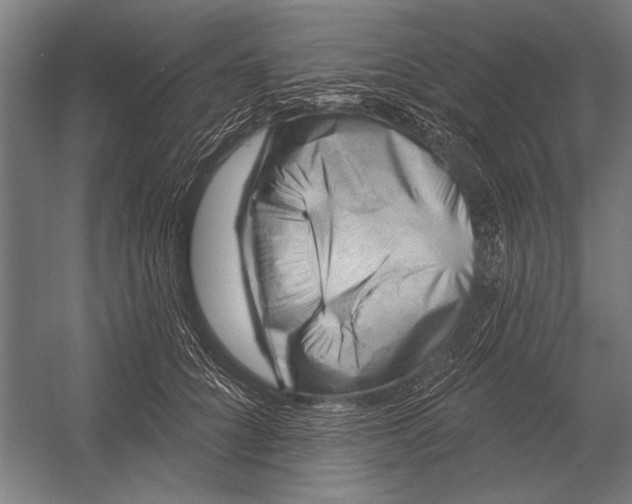 X0000052930704200507292352