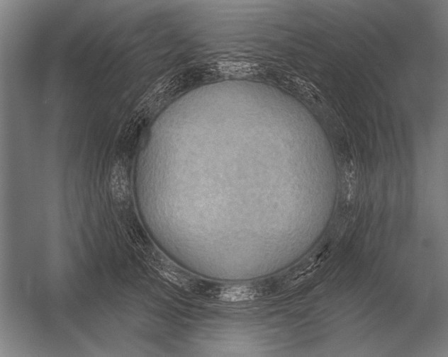 X0000052930705200507292352