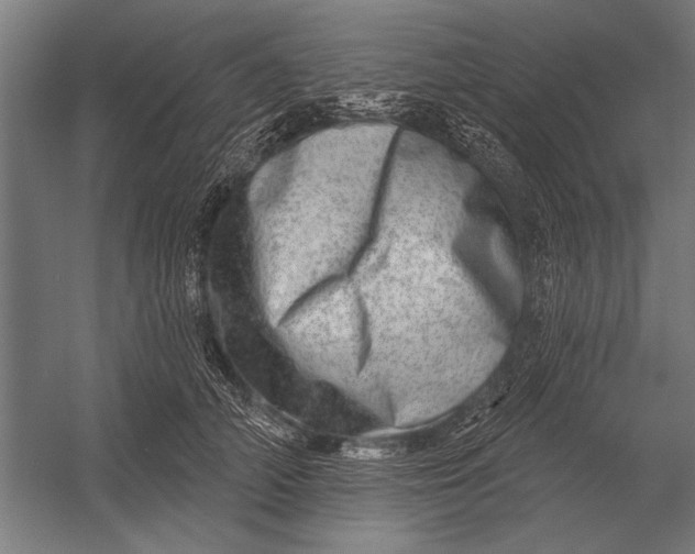 X0000052930706200507292352