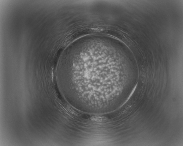 X0000052930707200507292352