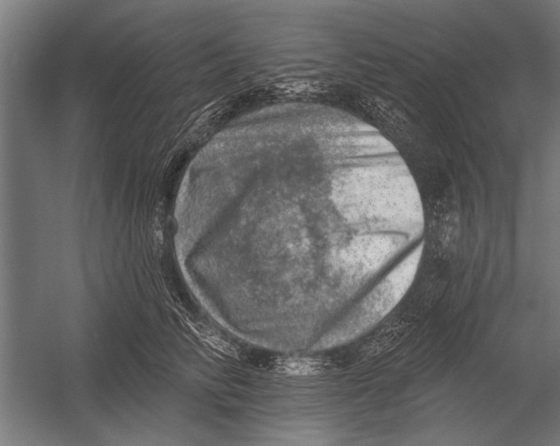 X0000052930710200507292352