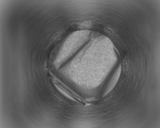 X0000052930714200507292352