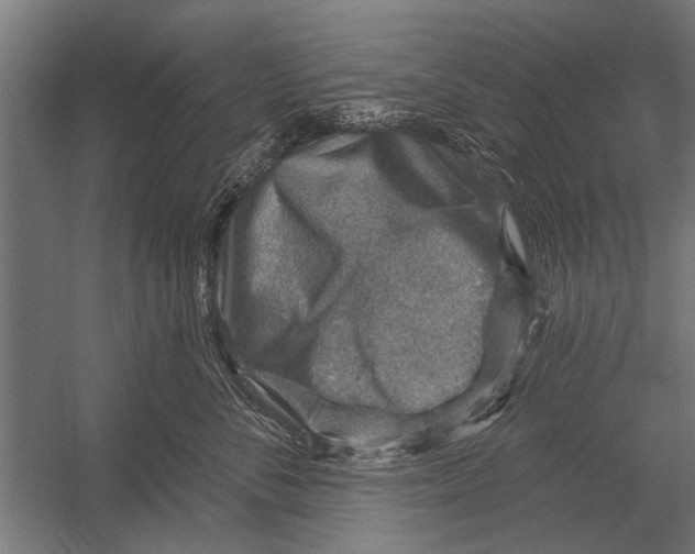 X0000052930716200507292352