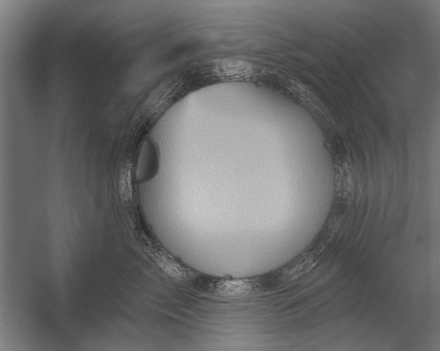 X0000052930717200507292352