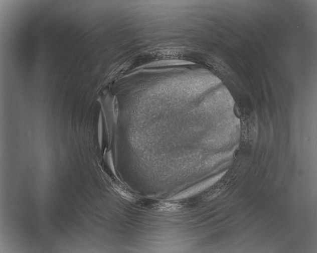 X0000052930718200507292352