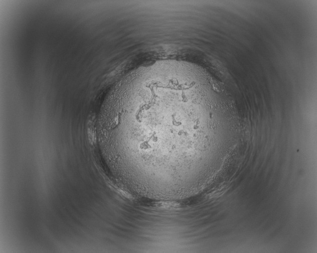 X0000052930719200507292352