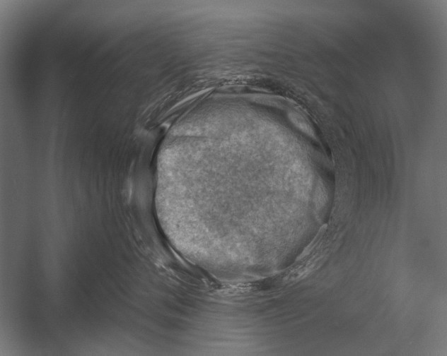 X0000052930720200507292352