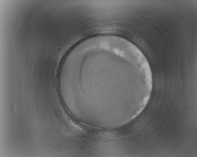 X0000052930721200507292351