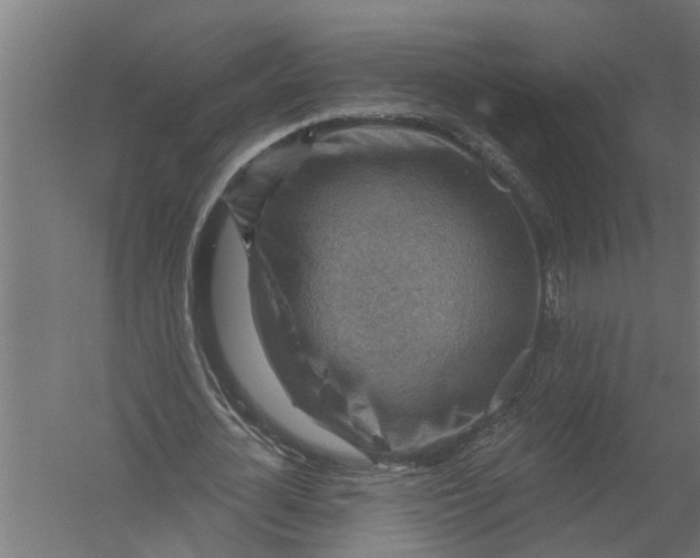 X0000052930724200507292351