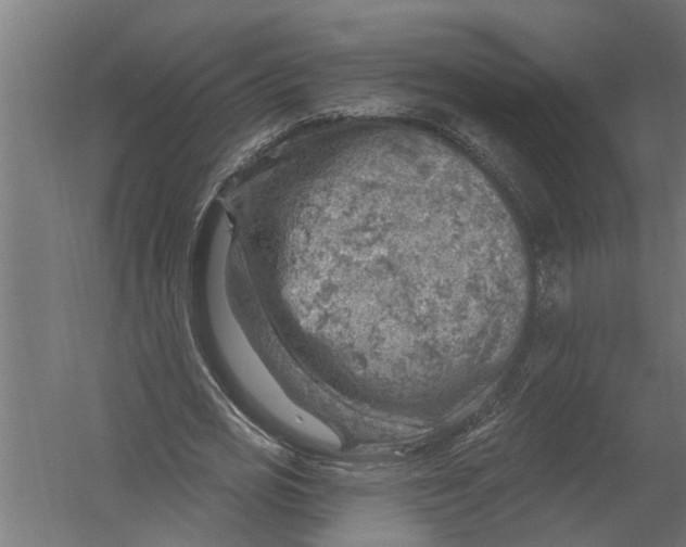 X0000052930725200507292351