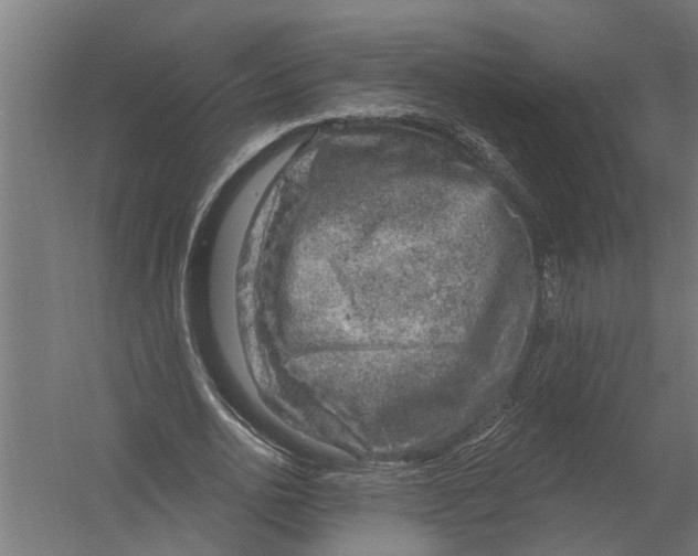 X0000052930726200507292351