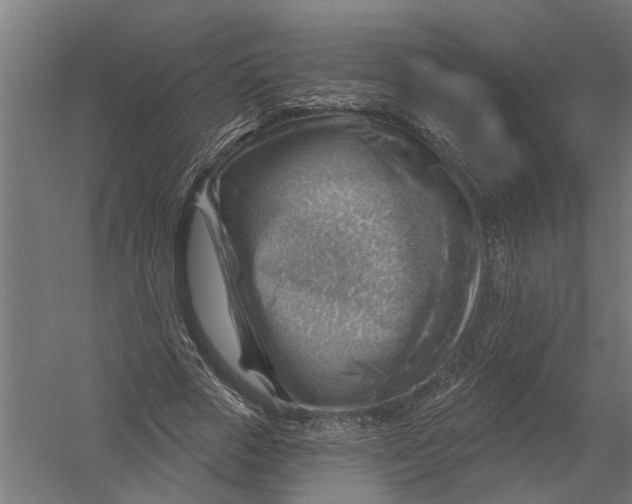 X0000052930729200507292351